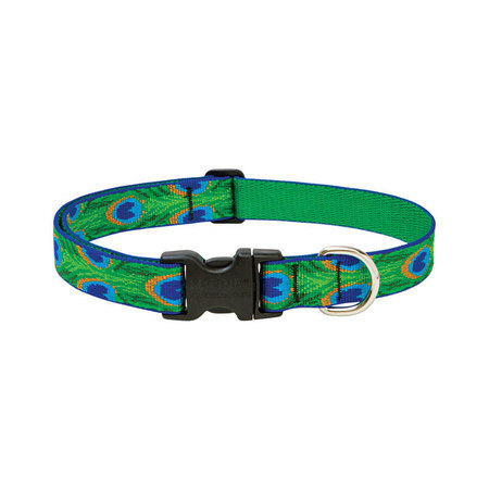 LUPINE Dog Collar 16-28Adj Tlfr 32653